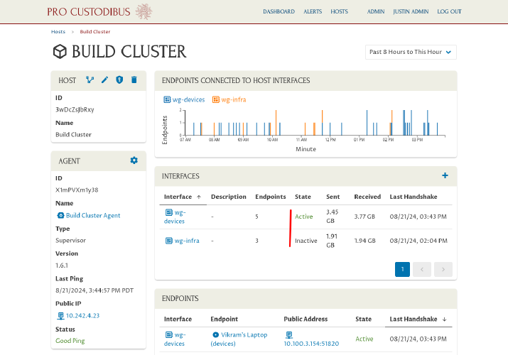 Host Page With Interfaces Up