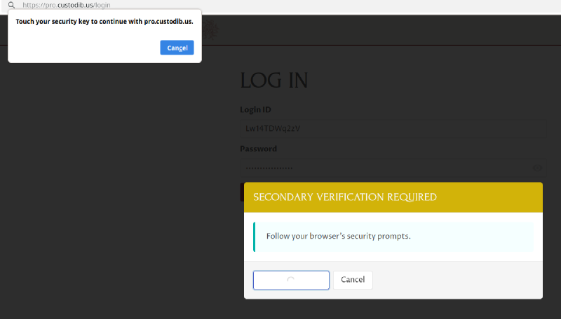 Browser security key prompt