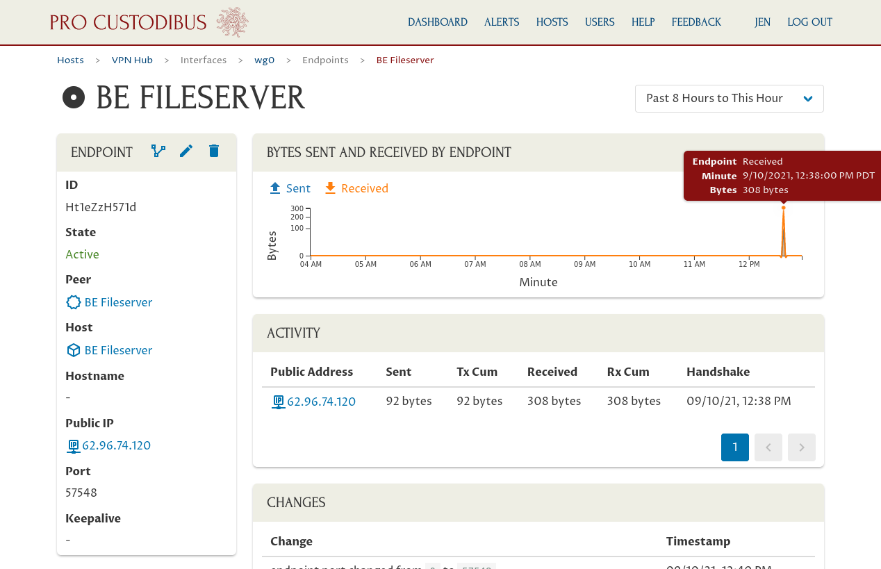 Endpoint Page for Connection Between VPN Hub and BE Fileserver